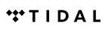 Tidal Tidal